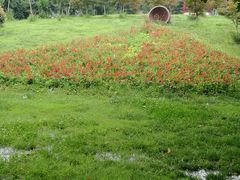 -祥源·阜阳生态乐园