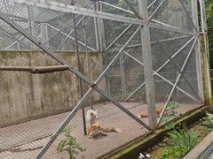 -合肥野生动物园