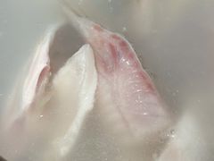 -淘米捞·米汤脆鲩鱼火锅(福田皇岗店)
