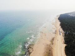 -贝壳沙滩