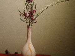 -江南雅厨·江南文化·苏州菜(李公堤店)