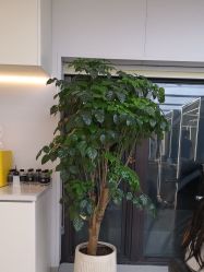-魔型社烫染店