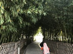 -春晖园度假酒店温泉