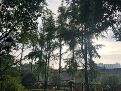 -成都市文殊院