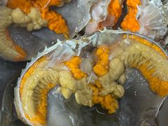 -台山侨雅海鲜粥底火锅(台山侨雅花苑店)