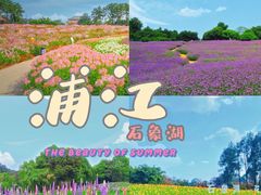 -保利石象湖景区