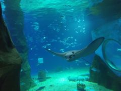 -北戴河圣蓝海洋公园