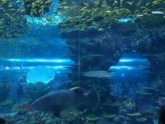 -上海海昌海洋公园-停车场