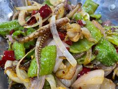 干锅鱿鱼-蜀膳坊(洪公祠小区店)