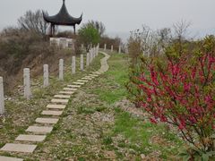 -太湖游船(石公山码头)