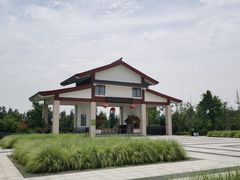 -漩门湾国家湿地公园