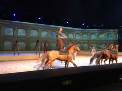 -cavalia·舞马