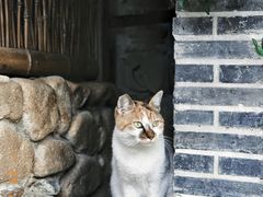 -龙华寺