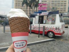-富豪雪糕车流动点(尖沙咀店)