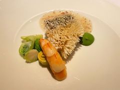 -蝶舍·MAISON PAPILLON