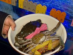 -辣螃铠盆盆蟹大排档(海昌店)