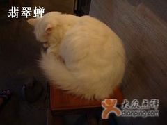 -Babycat私家御饼屋(龙头路一店)