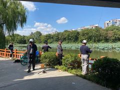 -新江湾城公园