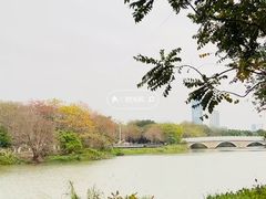 -海珠湖公园