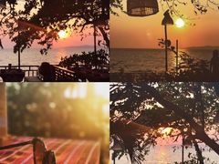 -卷心菜和避孕套餐厅(Pattaya)