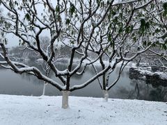 -玄武湖景区-情侣园游乐场