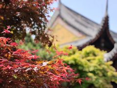-龙华寺