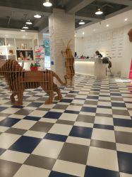 -宝贝天空儿童摄影(花溪店)