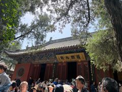 -洛阳白马寺