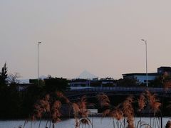 -华侨城湿地公园