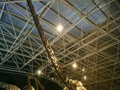 -世界恐龙谷景区