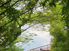 -白马涧龙池景区