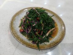 炝拌沙葱-国强手抓(北京西路店)