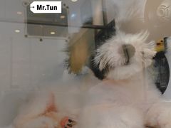 -PETKIT小佩宠物(古北店)