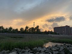 -上海海湾国家森林公园