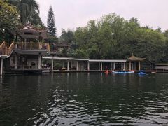 -晓港公园