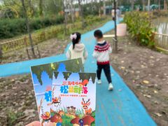 -合肥滨湖国家森林公园