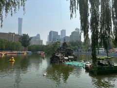 -团结湖公园