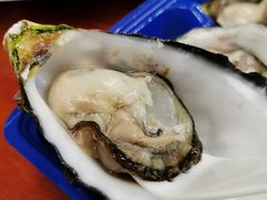 -悉尼鱼市场