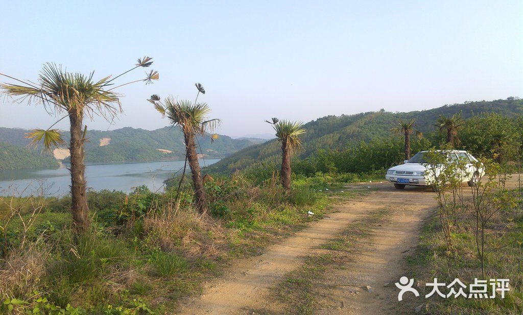天目湖花果山果园图片 - 第26张