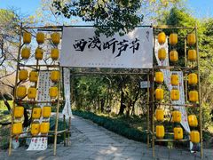 -西溪国家湿地公园