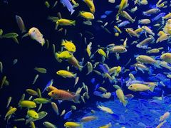 -成都浩海立方海洋公园