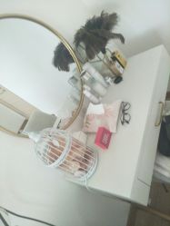 -Yukina Plus专业日式美肌