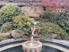 -航空小镇温泉
