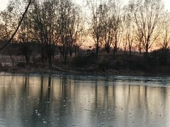 -马家湾湿地公园