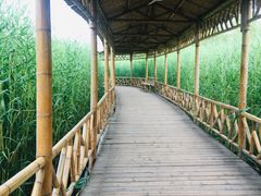 -处女泉风景名胜区