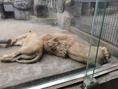 -南昌动物园