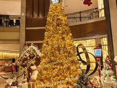 -深圳星河丽思卡尔顿酒店