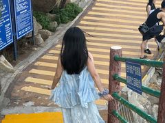 -广东惠东海龟国家级自然保护区