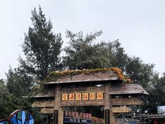 -北海金海湾红树林生态旅游区