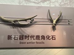 -淮安市博物馆